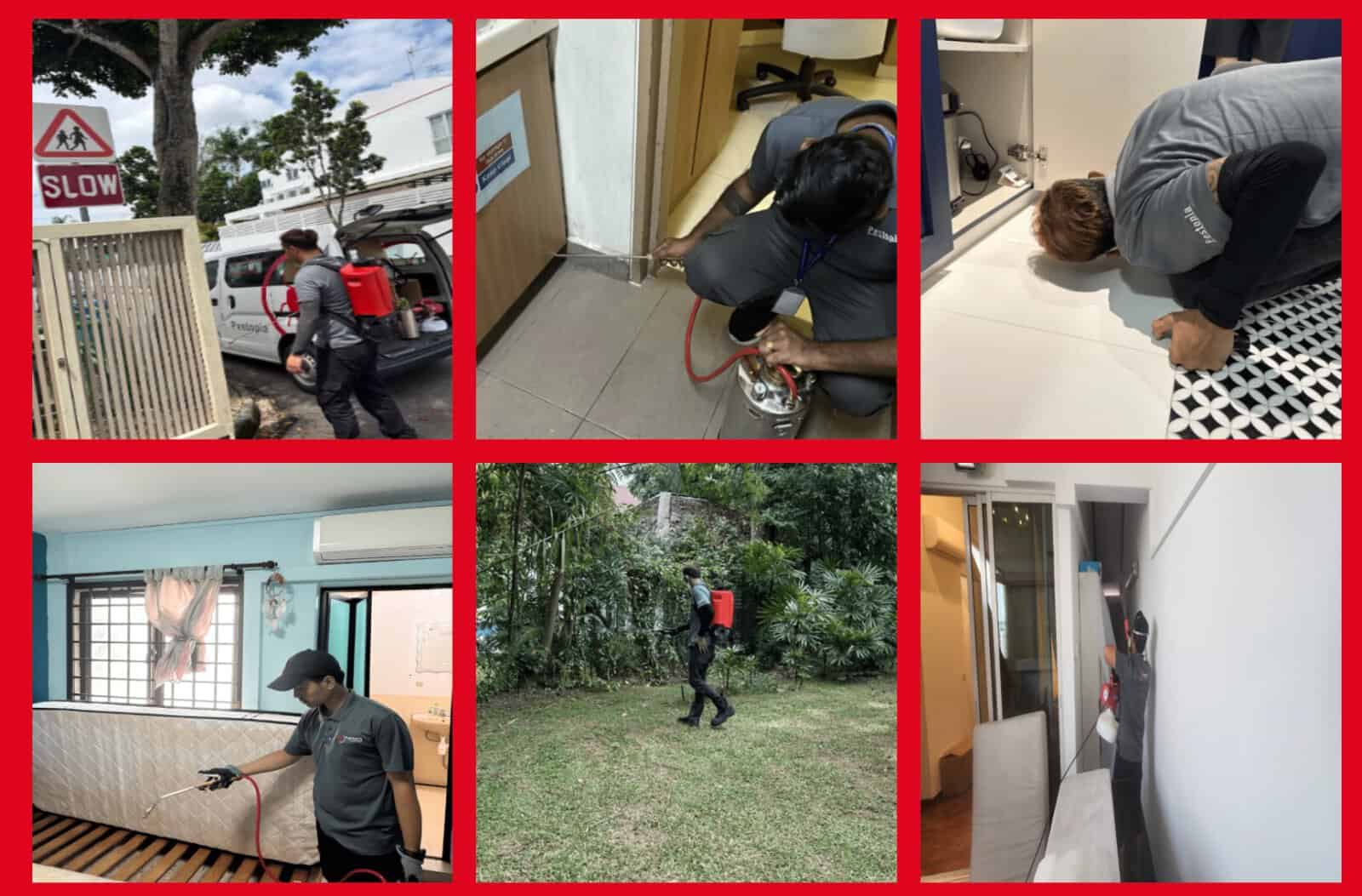pestopia pest control singapore review